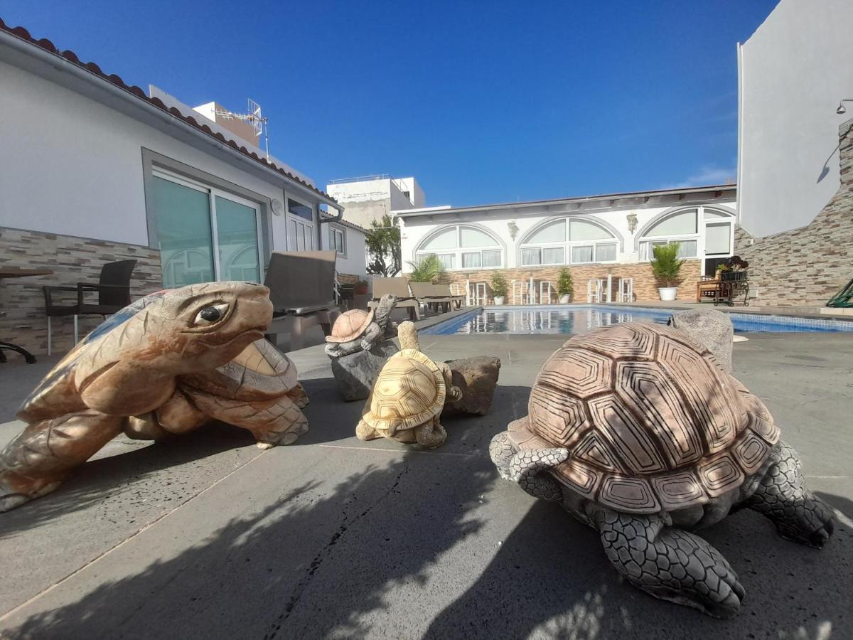 Tenerife Little Village S San Isidro  Ngoại thất bức ảnh